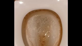 Pee Compilations Toilet Pissing
